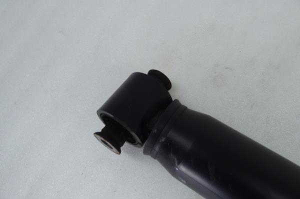 Ammortizzatore Posteriore Destro RENAULT Scénic III (JZ0/1_) Imagem-1