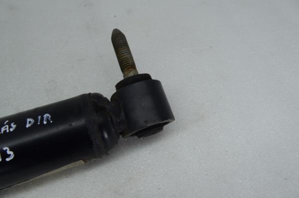Ammortizzatore Posteriore Destro RENAULT Scénic III (JZ0/1_) Imagem-2