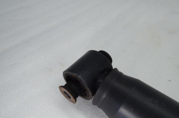 Stoßdämpfer Hinten Links RENAULT Scénic III (JZ0/1_) Imagem-1