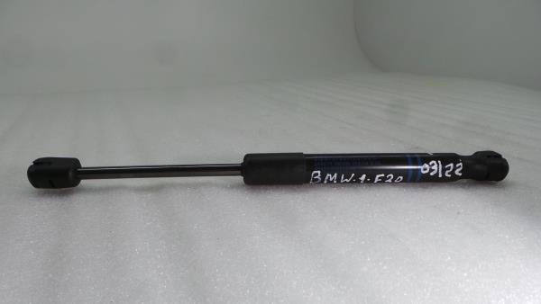 Amortecedor do capot BMW 1 (F20)