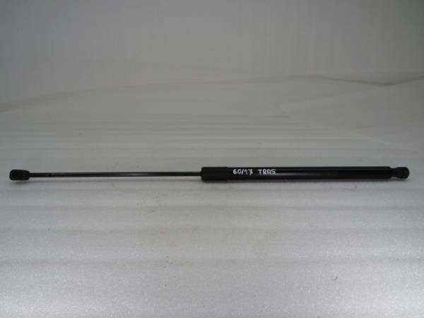 Ammortizzatore Bagagliaio FORD Kuga I