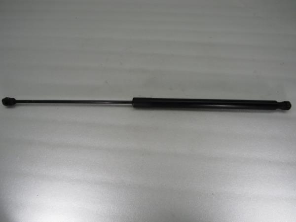 Ammortizzatore Bagagliaio FORD Kuga I