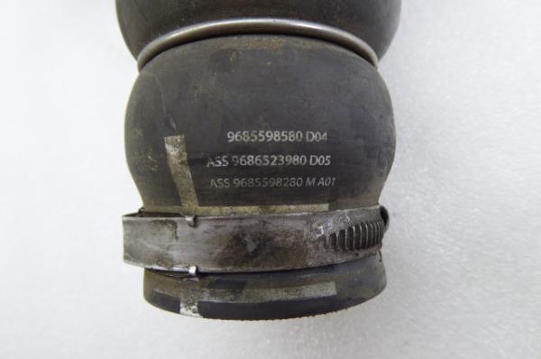 Tubo do intercooler CITROËN Jumpy III Imagem-2