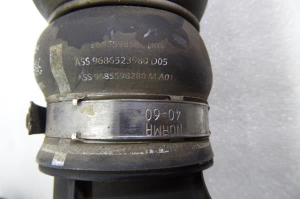 Tubo do intercooler CITROËN Jumpy III Imagem-3