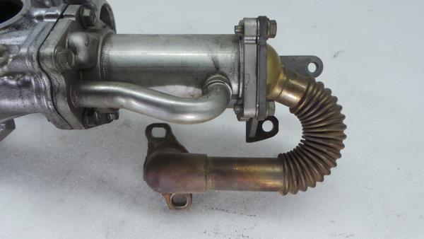 Radiador de gases / EGR RENAULT Clio III (BR0/1, CR0/1) Imagem-6