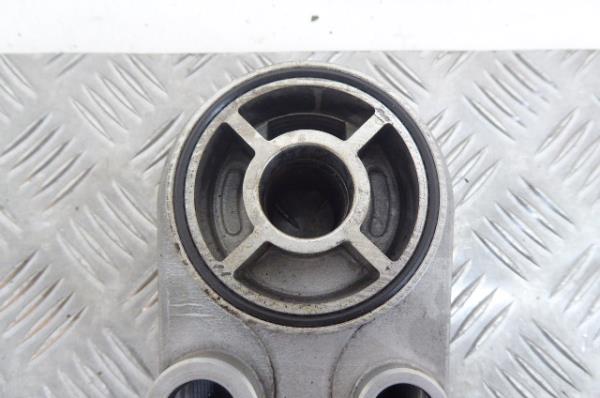 Radiador do óleo NISSAN Qashqai/Qashqai+2 I (J10, JJ10) Imagem-1