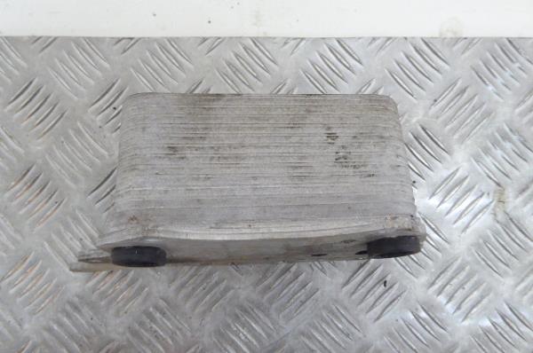 Radiador do óleo RENAULT Trafic III (FG_) Imagem-2