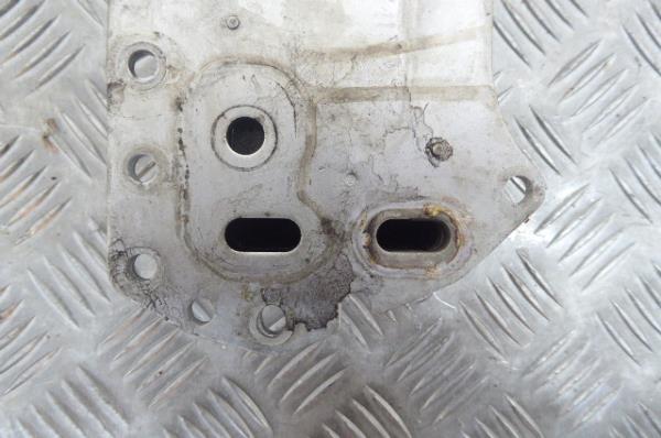 Radiador do óleo RENAULT Trafic III (FG_) Imagem-3