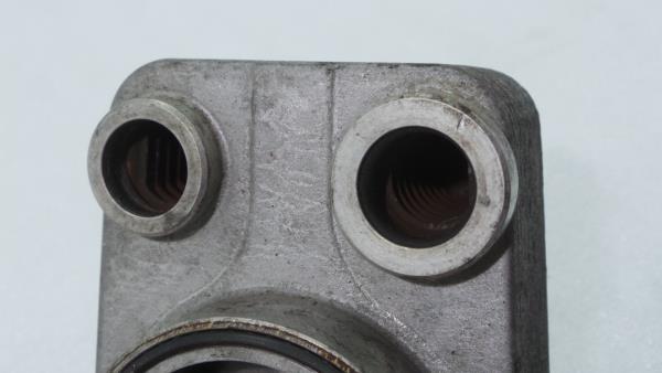 Radiador do óleo RENAULT Clio III (BR0/1, CR0/1) Imagem-4