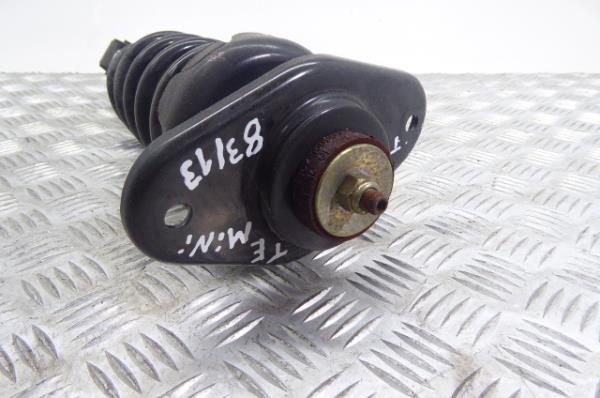 Left Rear Shock Absorber MINI Mini (R50, R53) Imagem-1