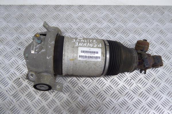 Amortiguador Trasero Izquierdo PORSCHE Cayenne (9PA) Imagem-1