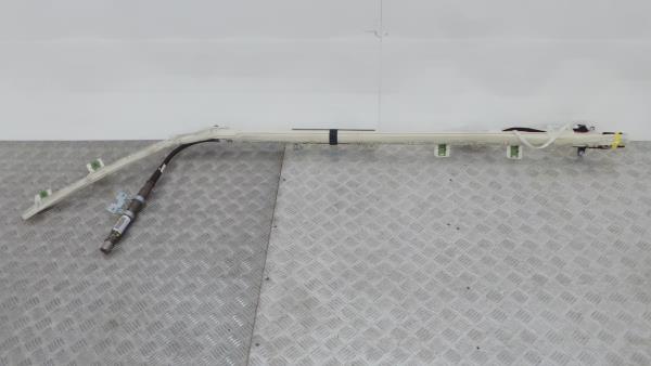 Airbag Rideau Guache LAND ROVER Discovery III (L319) Imagem-1