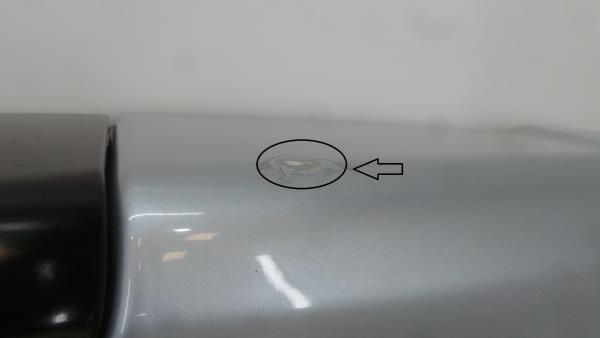 Portón trasero LAND ROVER Discovery III (L319) Imagem-2