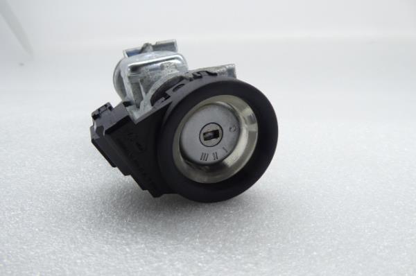 Bombín de encendido LAND ROVER Discovery III (L319) Imagem-2