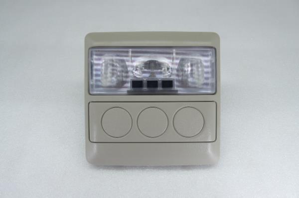 Plafón Delantero LAND ROVER Discovery III (L319)