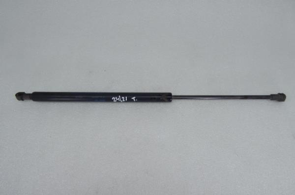 Amortiguador Maletero LAND ROVER Discovery III (L319)