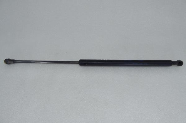 Amortiguador Maletero LAND ROVER Discovery III (L319)