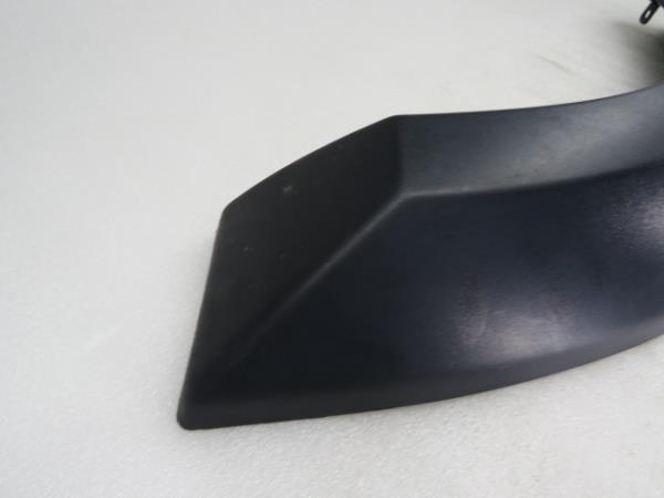 Außenleiste LAND ROVER Discovery III (L319) Imagem-1