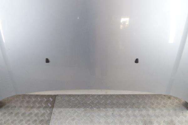 Capot LAND ROVER Discovery III (L319) Imagem-4