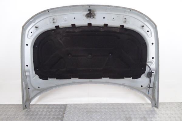 Capot LAND ROVER Discovery III (L319) Imagem-5