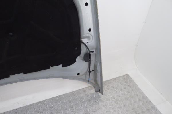 Capot LAND ROVER Discovery III (L319) Imagem-6