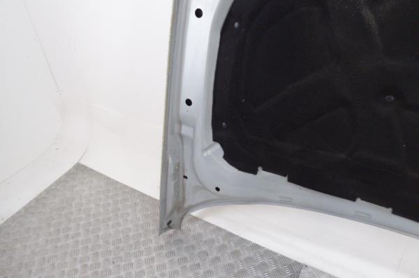 Capot LAND ROVER Discovery III (L319) Imagem-7