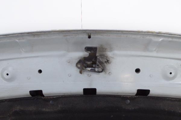 Capot LAND ROVER Discovery III (L319) Imagem-8