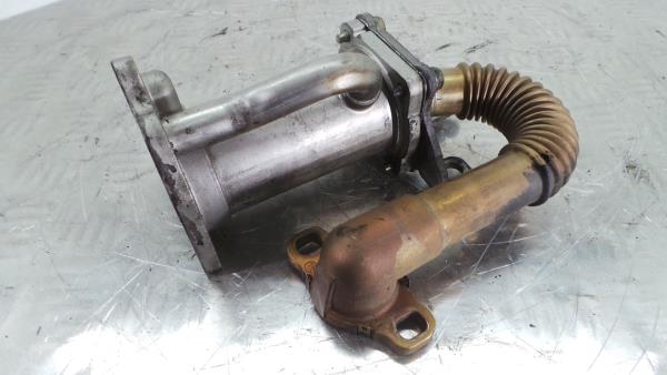 Radiador de gases / EGR RENAULT Clio III (BR0/1, CR0/1) Imagem-1