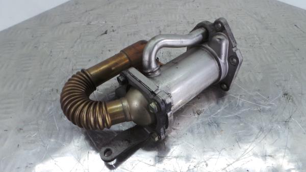 Radiador de gases / EGR RENAULT Clio III (BR0/1, CR0/1)