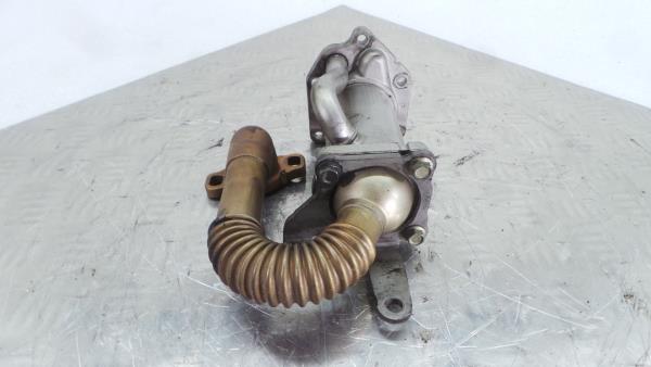 Radiador de gases / EGR RENAULT Clio III (BR0/1, CR0/1) Imagem-4