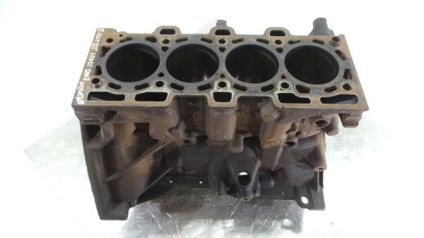Bloco do motor RENAULT Clio III (BR0/1, CR0/1)