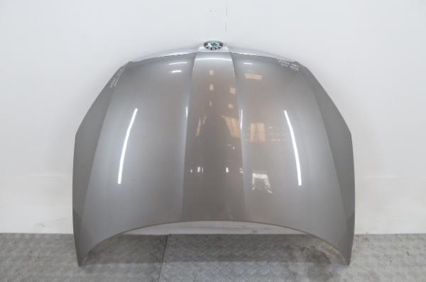 Capot SKODA Fabia II Hatchback (542, 5J)