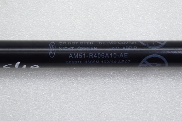 Ammortizzatore Bagagliaio FORD C-Max II (DXA/CB7, DXA/CEU) Imagem-1