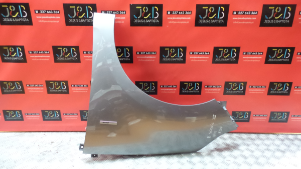 Guardabarros izquierdo RENAULT Scénic III (JZ0/1_)