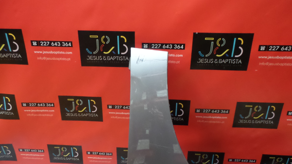 Parafango sinistro RENAULT Scénic III (JZ0/1_) Imagem-1