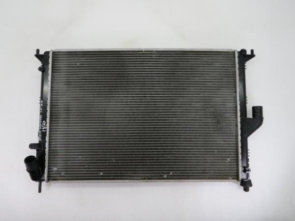 Radiador de agua DACIA Sandero (BS_) Imagem-4