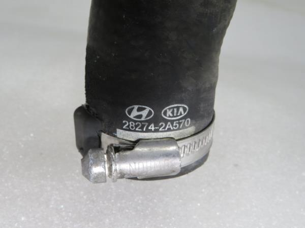 Tubo do intercooler KIA Ceed Sportswagon (JD) Imagem-3