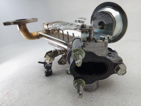 Radiador de gases / EGR TOYOTA Auris Touring Sports (_E18_) Imagem-6