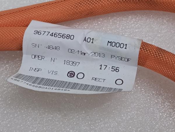 Engine wiring PEUGEOT 3008 I (0U_) Imagem-4