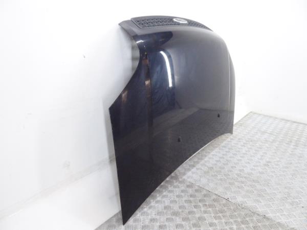 Cofano FORD Fusion (JU_) Imagem-1