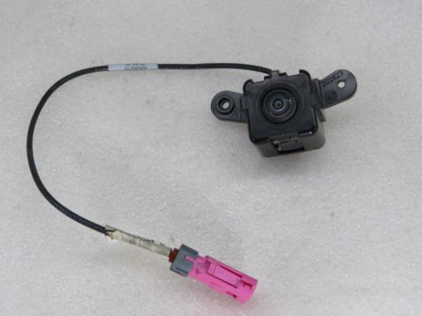 Modulo telecamera FIAT Ducato (250_, 290_)