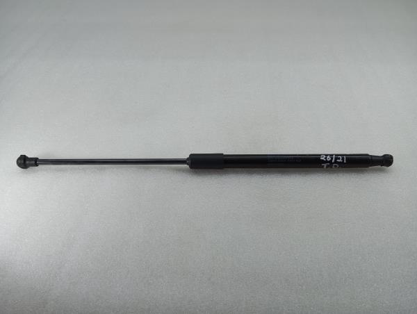 Ammortizzatore Bagagliaio CITROËN C3 III (SX)