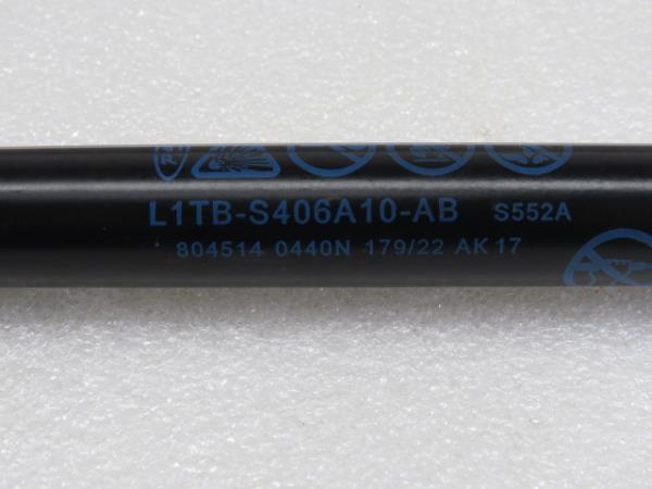 Ammortizzatore Bagagliaio FORD Puma (J2K, CF7) Imagem-3