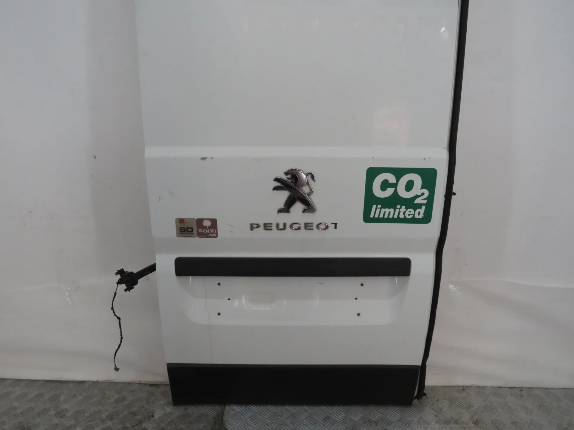 Porta trás esquerda PEUGEOT Boxer Imagem-2