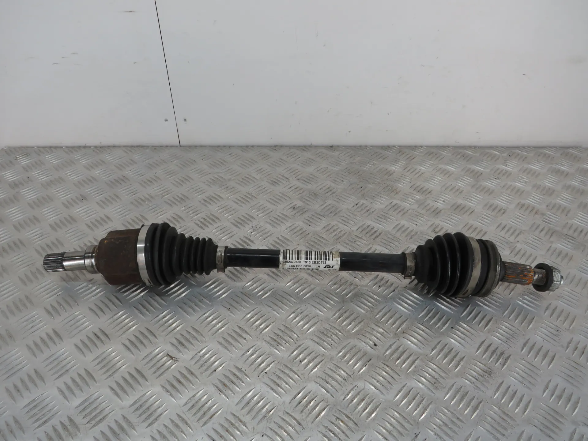 Mechanics for PEUGEOT - Jesus & Baptista