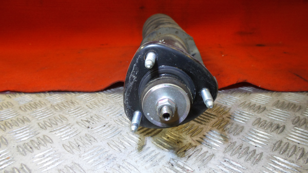 Amortiguador Trasero Izquierdo LEXUS IS II (GSE2_, ALE2_, USE2_)