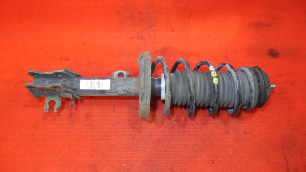 Ammortizzatore Anteriore Destro FIAT Grande Punto (199_) Imagem-1