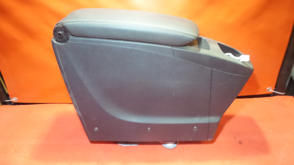 Console central RENAULT Scénic III (JZ0/1_)