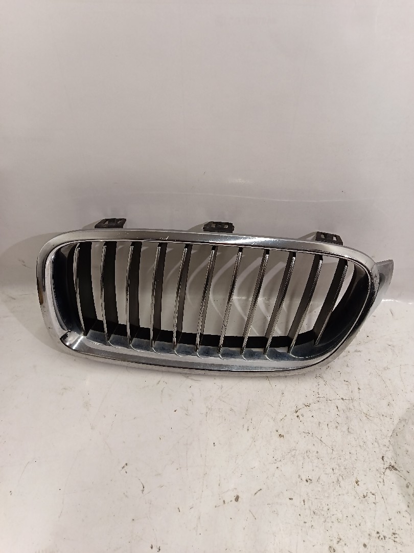Grelha frente BMW - ID S_3174