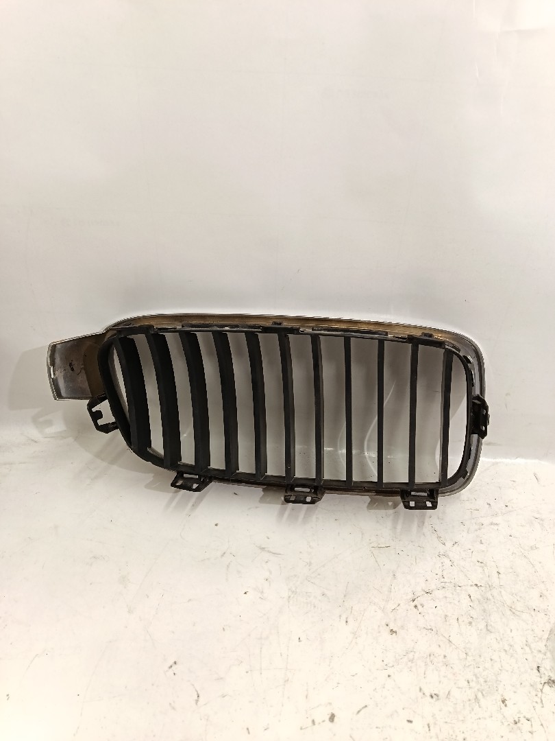 Grelha frente BMW 5 Touring (F11) Imagem-1